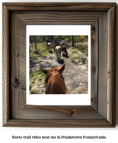 horse trail rides near me in Frankstown, Pennsylvania